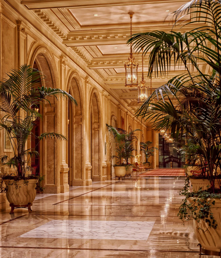 Robin Ajans - Контент ve Продакшн